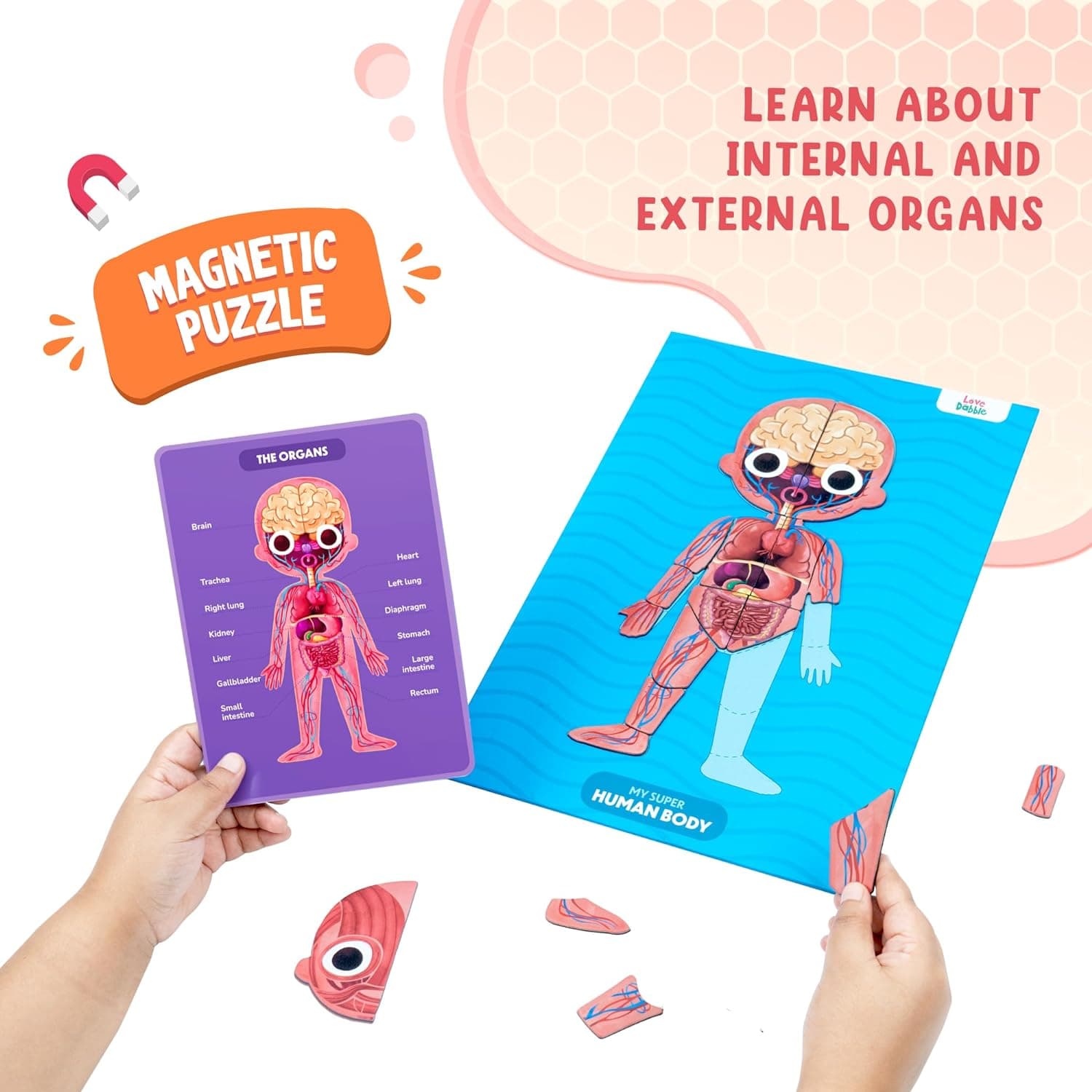Bloomingo Learning Kit: Super Human Body - Discover The Human Body with Fun Magnetic Puzzles - Engaging STEM Educational Birthday Puzzle Gift for Boys and Girls Ages 5, 6, 7, 8, 9, 10, 11, 12,Kids view 7