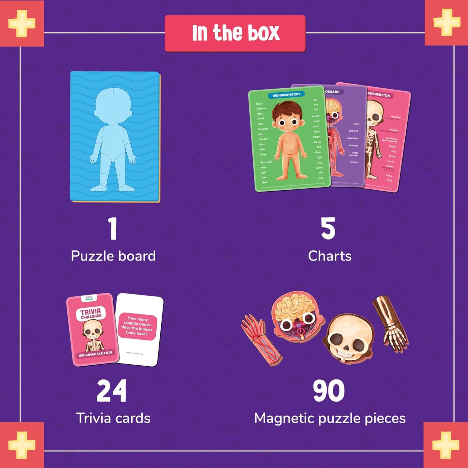 Bloomingo Learning Kit: Super Human Body - Discover The Human Body with Fun Magnetic Puzzles - Engaging STEM Educational Birthday Puzzle Gift for Boys and Girls Ages 5, 6, 7, 8, 9, 10, 11, 12,Kids