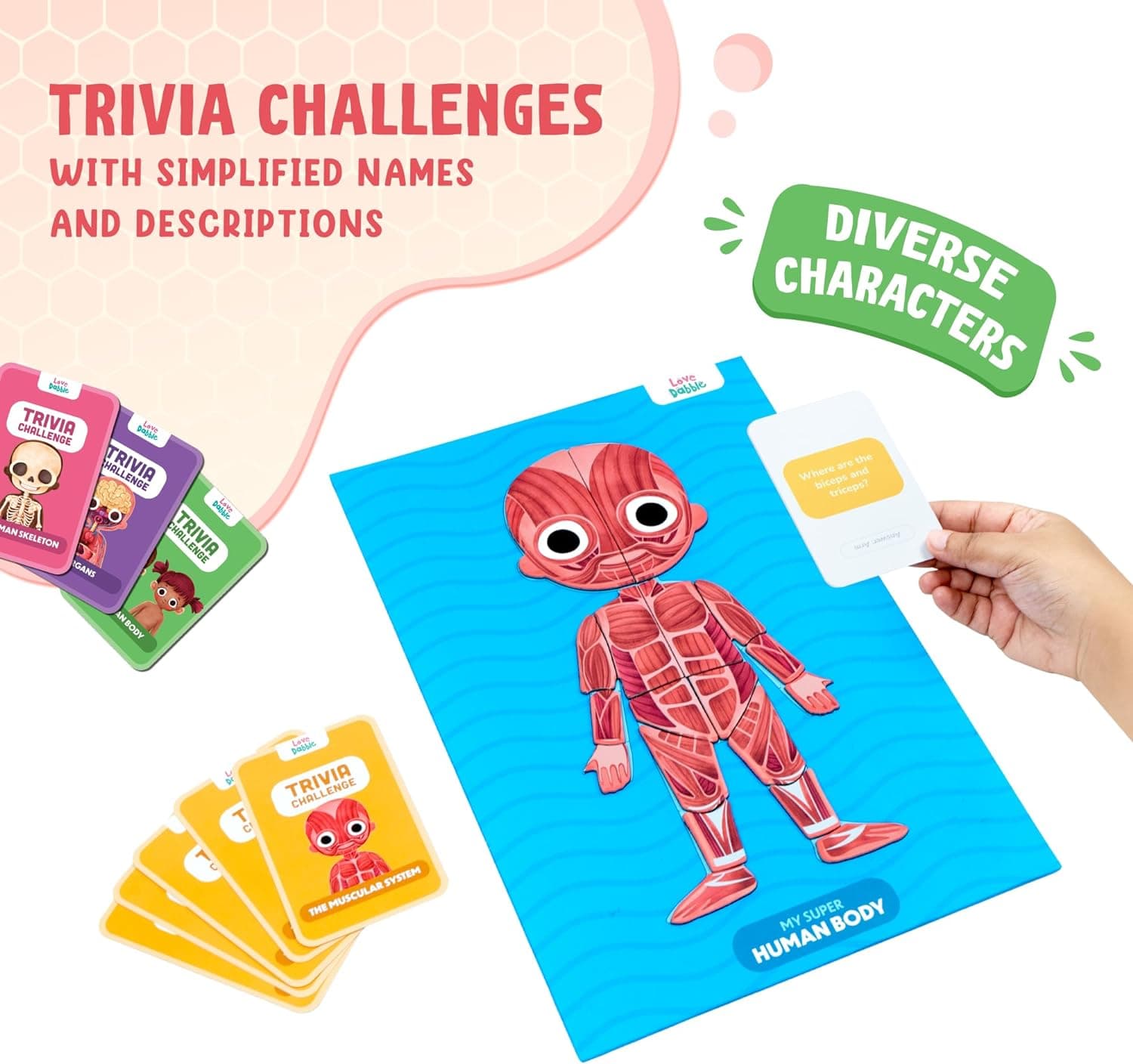Bloomingo Learning Kit: Super Human Body - Discover The Human Body with Fun Magnetic Puzzles - Engaging STEM Educational Birthday Puzzle Gift for Boys and Girls Ages 5, 6, 7, 8, 9, 10, 11, 12,Kids view 8