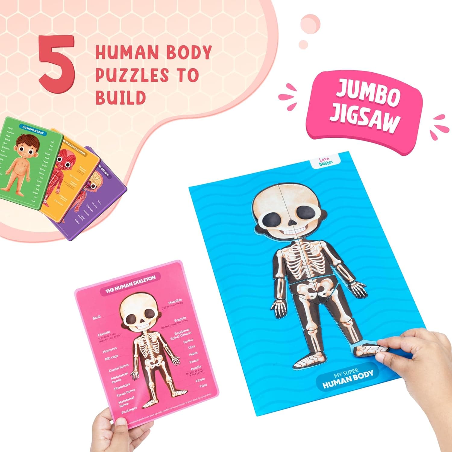 Bloomingo Learning Kit: Super Human Body - Discover The Human Body with Fun Magnetic Puzzles - Engaging STEM Educational Birthday Puzzle Gift for Boys and Girls Ages 5, 6, 7, 8, 9, 10, 11, 12,Kids view 3