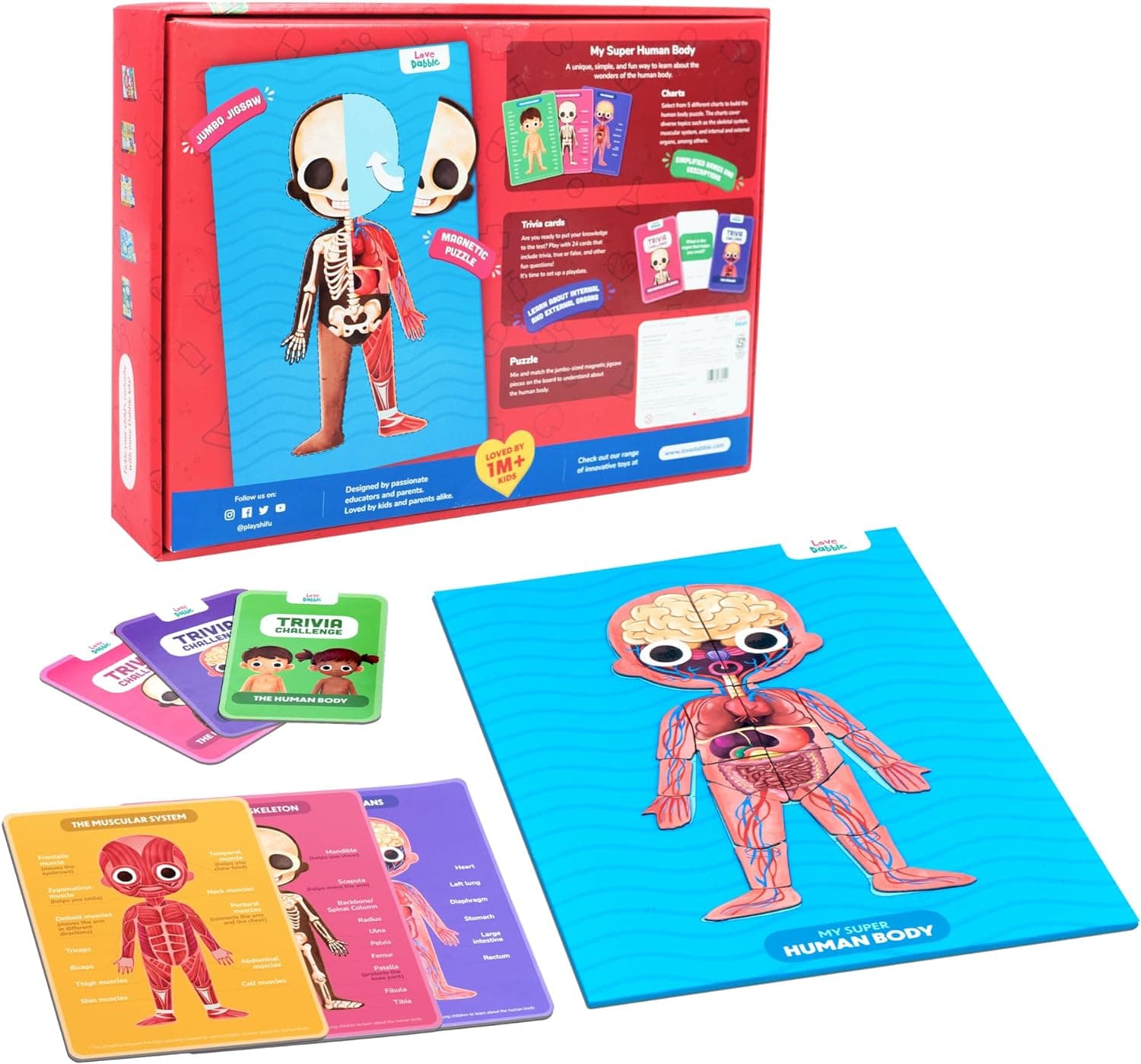 Bloomingo Learning Kit: Super Human Body - Discover The Human Body with Fun Magnetic Puzzles - Engaging STEM Educational Birthday Puzzle Gift for Boys and Girls Ages 5, 6, 7, 8, 9, 10, 11, 12,Kids view 2
