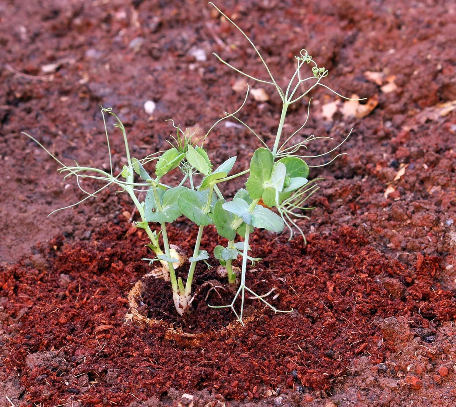 Funvention- for Little Scientist in Every Kid Garden Drip Irrigation Kit view 2
