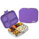 Basil Bento Quad Purple Pop Lunch Box