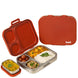 Basil Bento Quad Desi Mitti Lunch Box