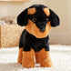 Mirada Black Rottweiler Dog Soft Toy (30 cm)