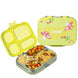 Basil Bento Quad Mushroom Trail Lunch Box