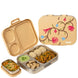 Basil Bento Quad Himachli Guldaan Lunch Box