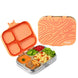 Basil Bento Quad Coral Swirl Lunch Box