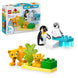 LEGO DUPLO Town Wild Animal Families: Penguins & Lions Imagination Toy 10442 Building Blocks Toys for 2+ Gift for Boys and Girls