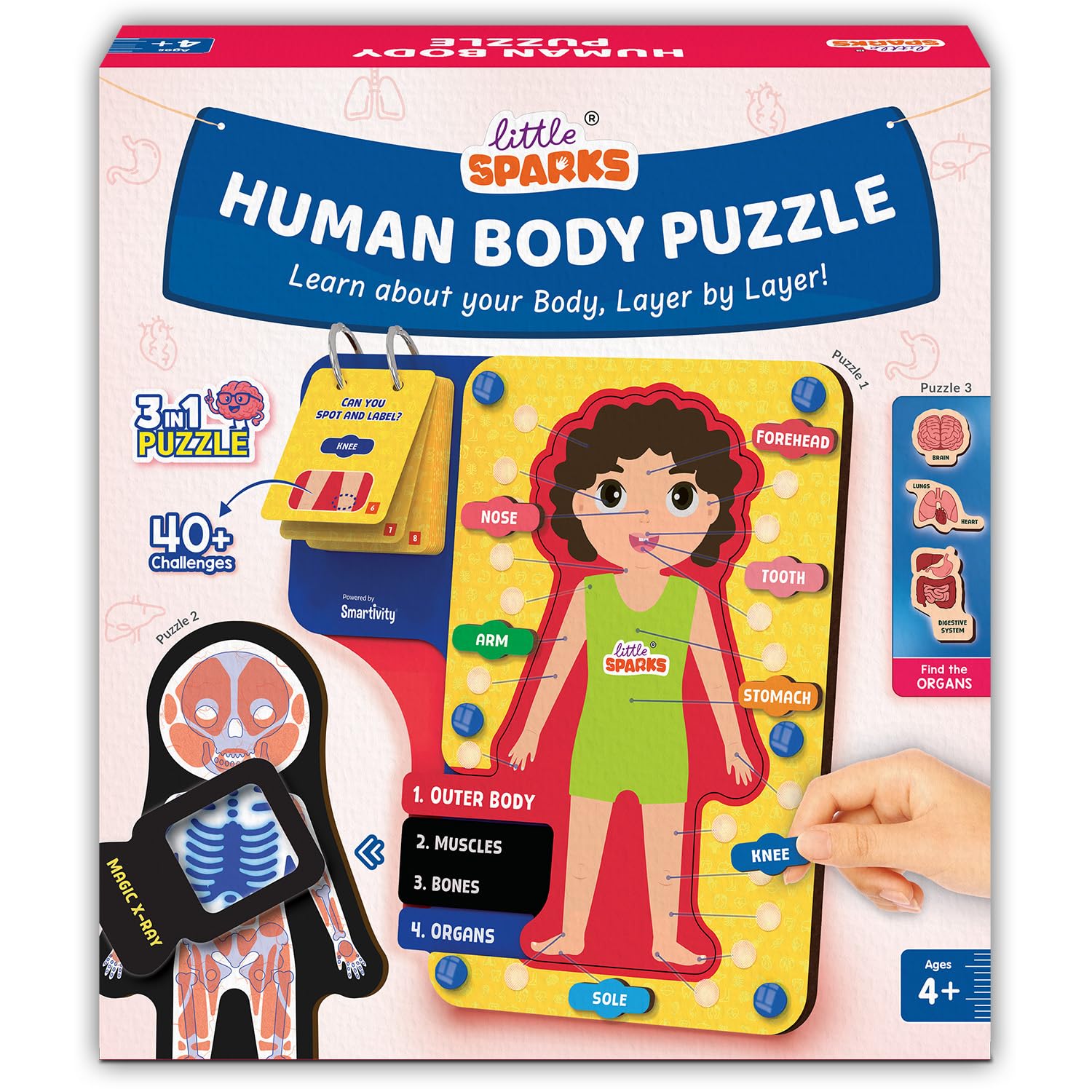 Smartivity Human Body Puzzle | DIY Learning Toy for Kids – Knick Knack
