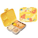 Basil Bento 3C Kitty Party Lunch Box